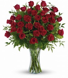 Breathtaking Beauty - Three Dozen Red Roses from Arjuna Florist in Brockport, NY